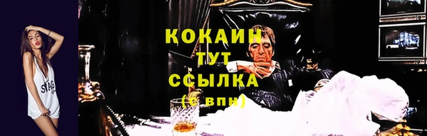 мдпв Надым