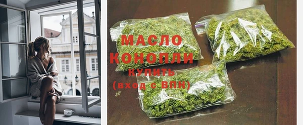 индика Наволоки