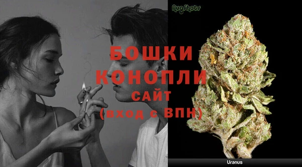 PSILOCYBIN Беломорск