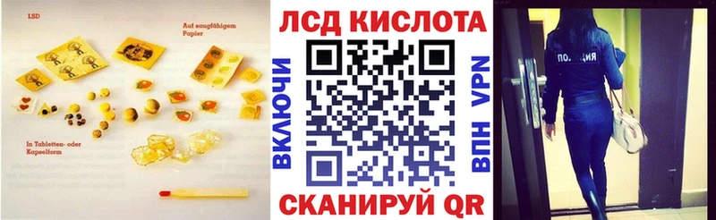 где купить наркоту  Петровск-Забайкальский  LSD-25 экстази ecstasy 