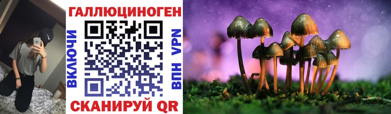 продажа наркотиков  Петровск-Забайкальский  Псилоцибиновые грибы MAGIC MUSHROOMS 