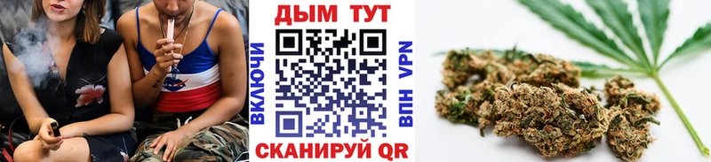 Каннабис OG Kush блэк спрут как войти Петровск-Забайкальский